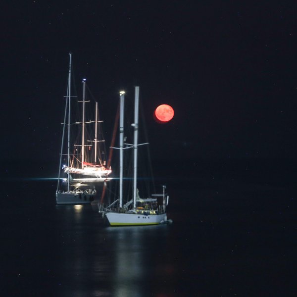 Sunrise Bay Apartments